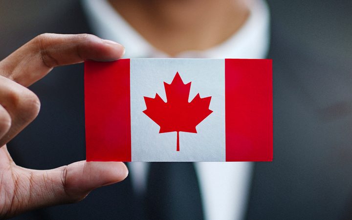 Immigration programs you should know about | Canada Immigration | Magnum Insight