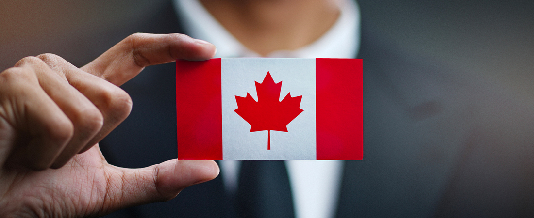 Immigration programs you should know about | Canada Immigration | Magnum Insight